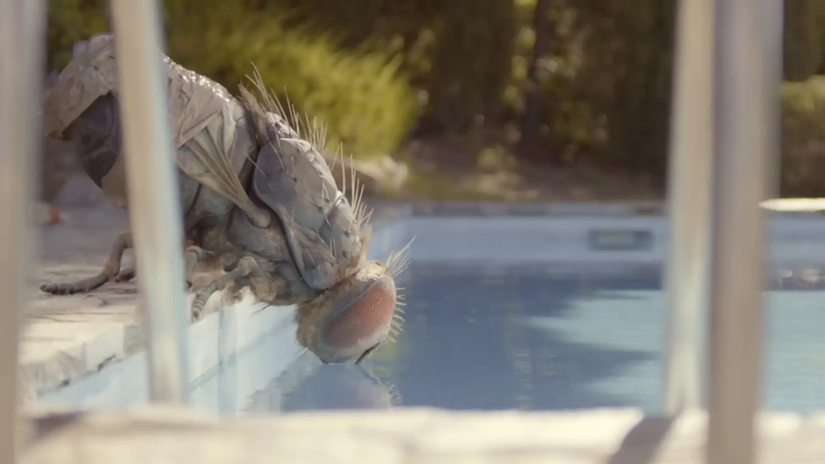 Mandibules - Nomad Open Air Cinema